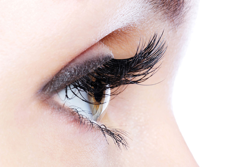 eyelashes in profile